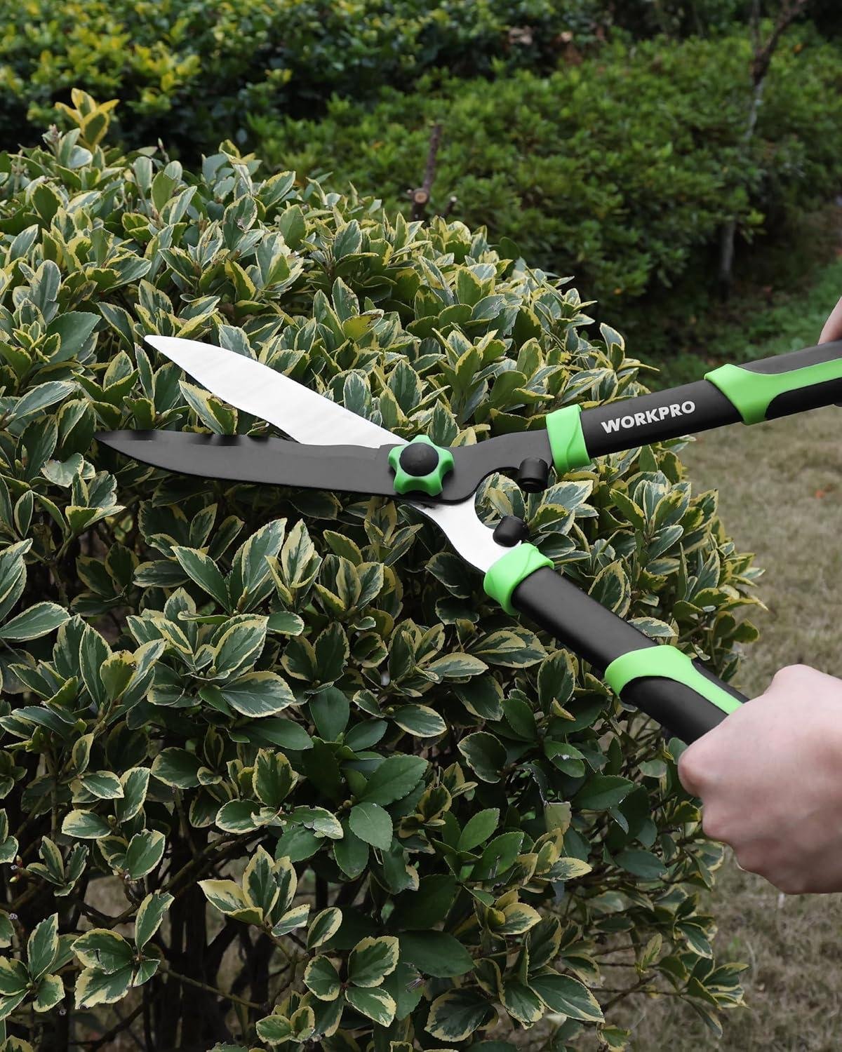 My Go-To Garden Shears Set That Cuts Like Butter 1 My Go-To Garden Shears Set That Cuts Like Butter