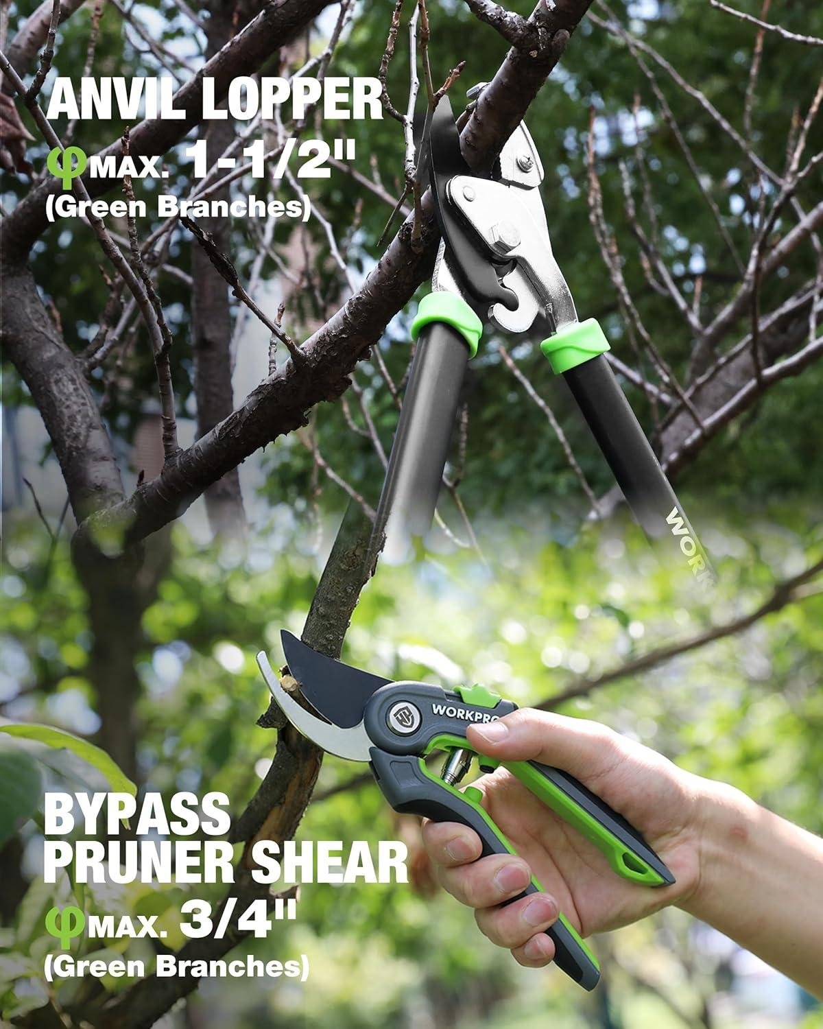 My Go-To Garden Shears Set That Cuts Like Butter 9 My Go-To Garden Shears Set That Cuts Like Butter