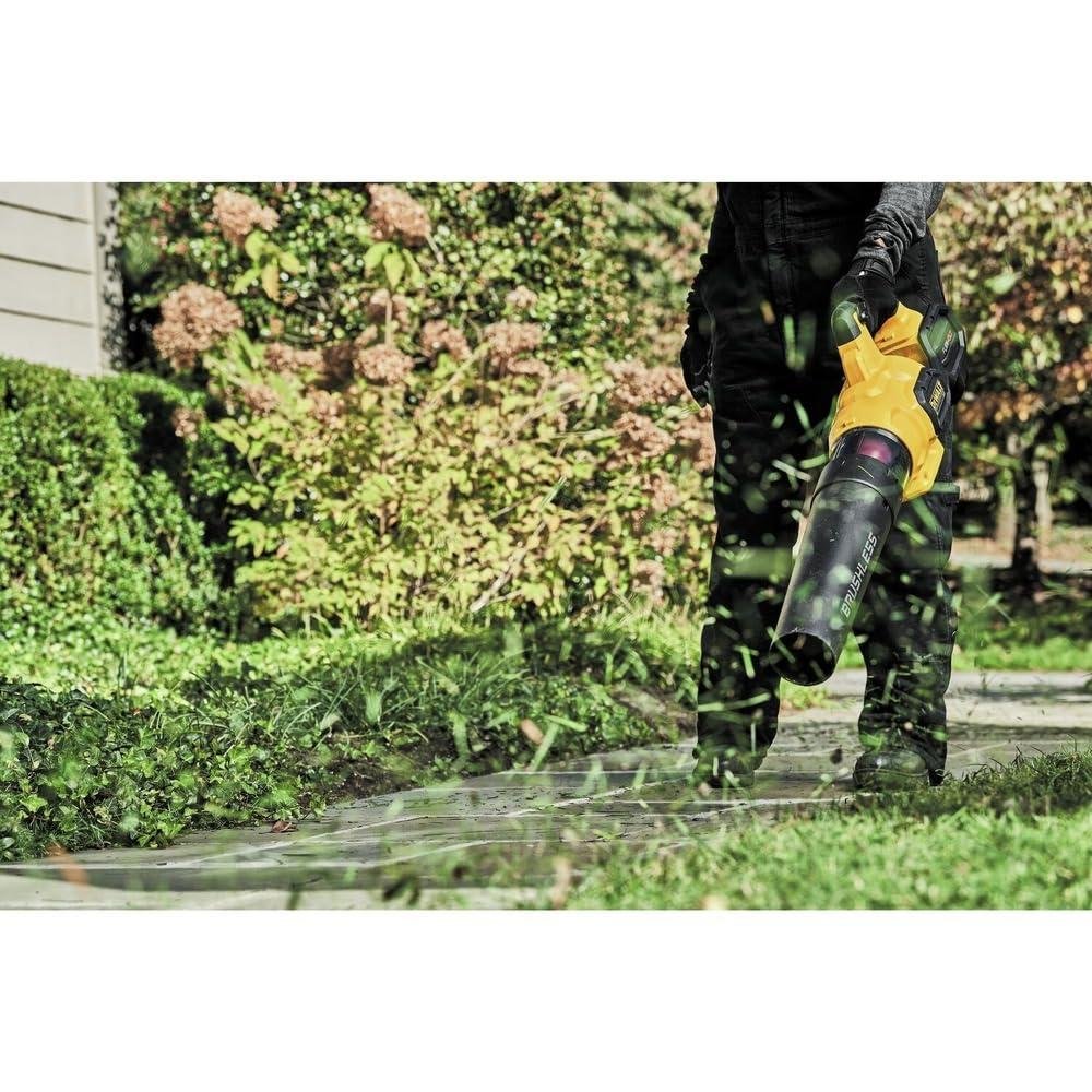 **I Tested DeWalt's 60V Blower - It's a Beast!** 9 **I Tested DeWalt's 60V Blower - It's a Beast!**