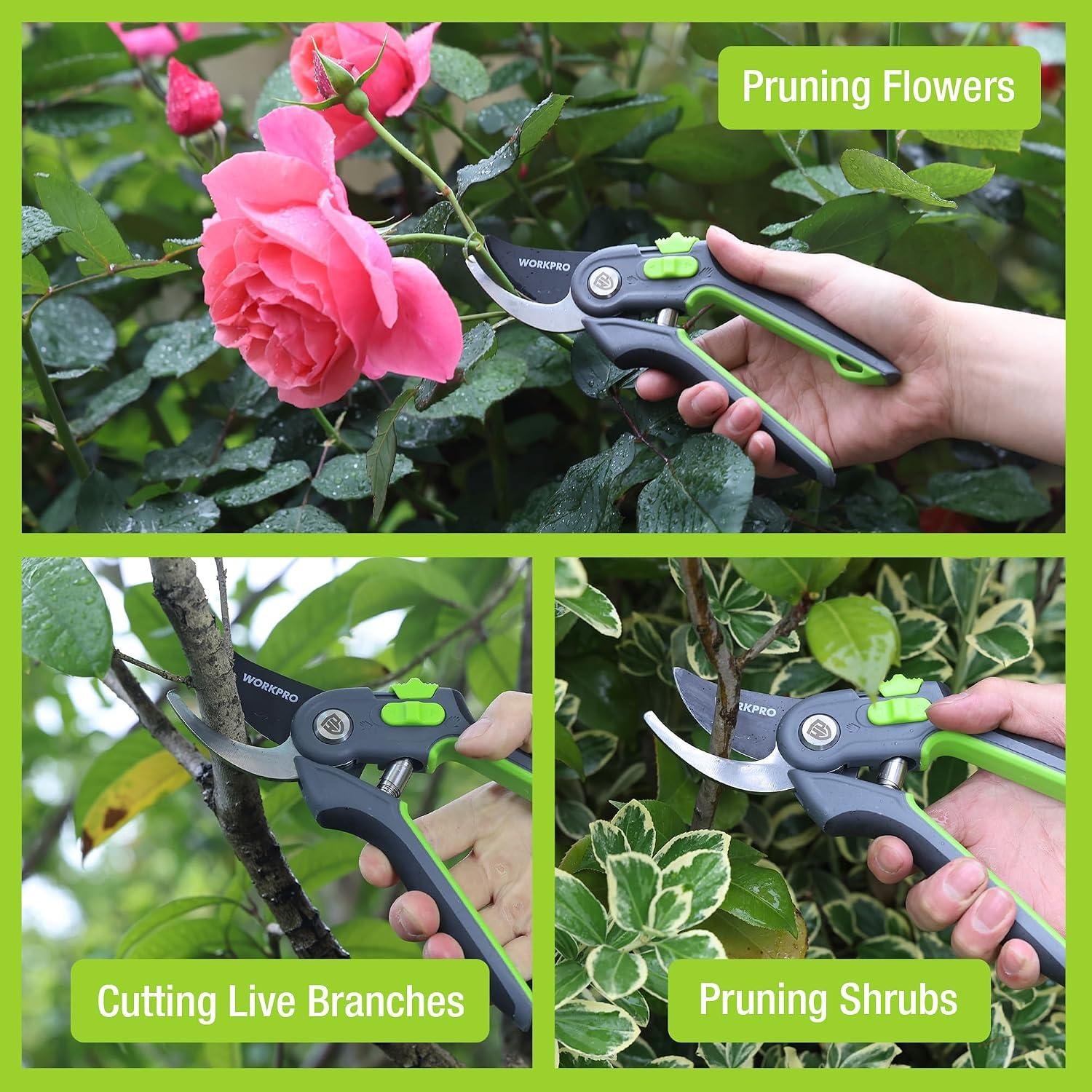 **My Go-To Shears: WORKPRO Pruners Slice Clean** 9 **my Go-To Shears: WORKPRO pruners Slice clean**