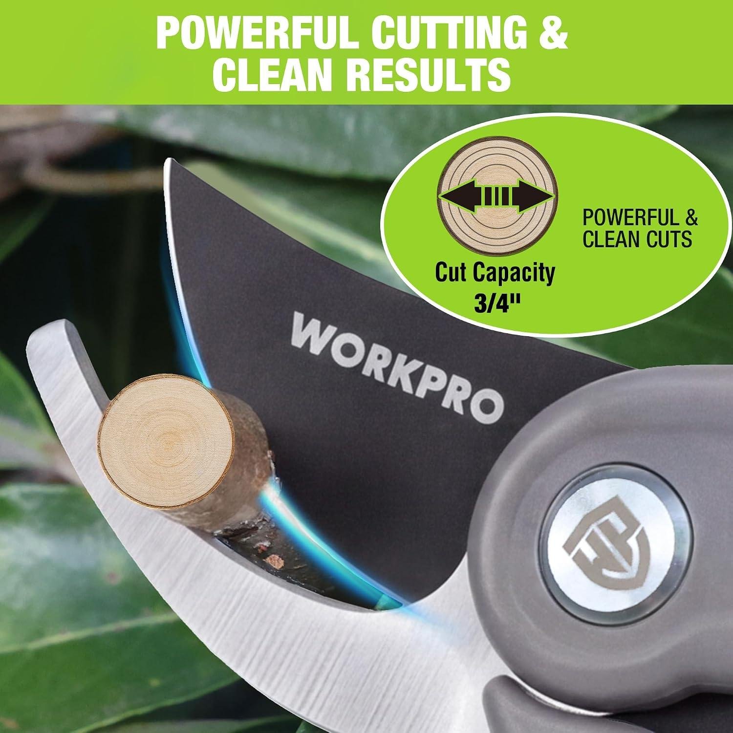 **My Go-To Shears: WORKPRO Pruners Slice Clean** 10 **My Go-To Shears: WORKPRO Pruners Slice Clean**