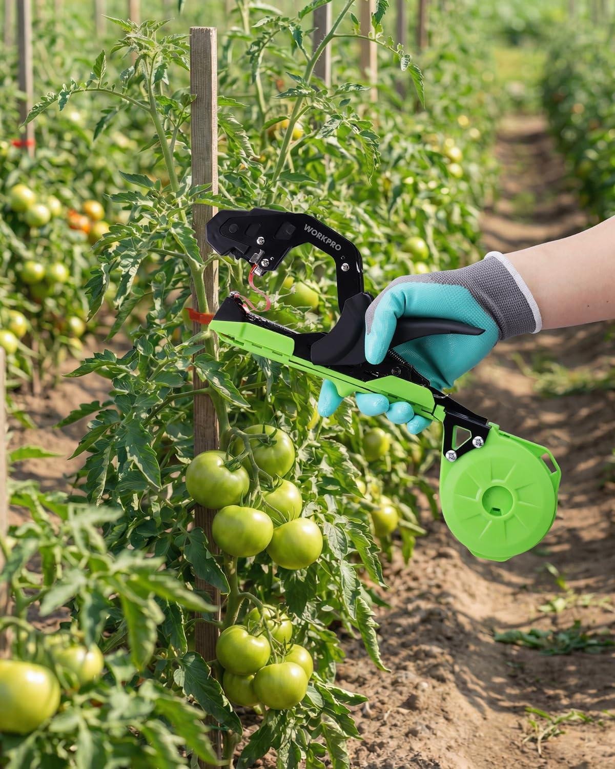 My Go-To Plant⁤ Tying Gun That ‌Saves Hours